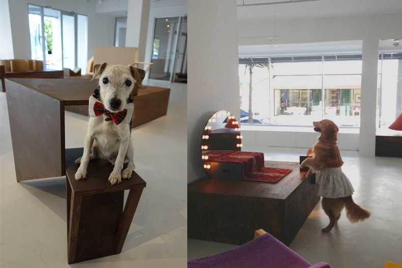architecture for dogs, miami, exhibition, kenya hara, design miami, imprint culture lab, imprint venture lab