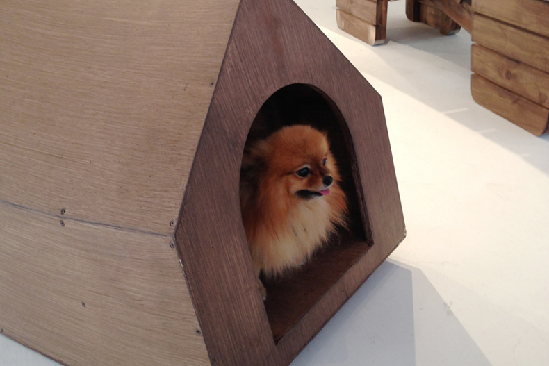 architecture for dogs, miami, exhibition, kenya hara, design miami, imprint culture lab, imprint venture lab