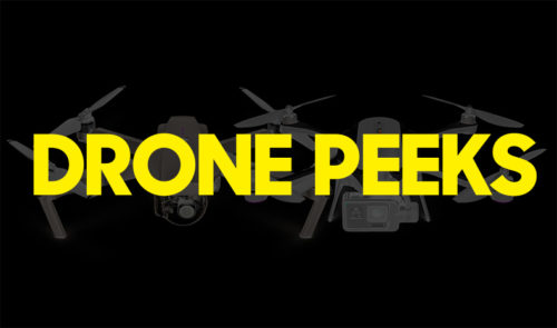 dronepeeks