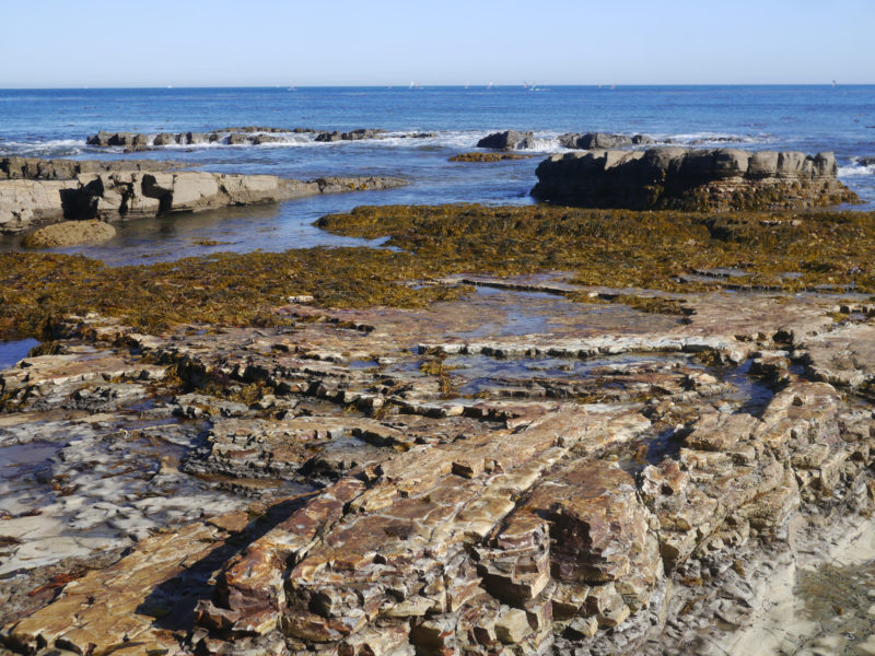 Surf riffs and tide pools in San Pedro Imprint Lab